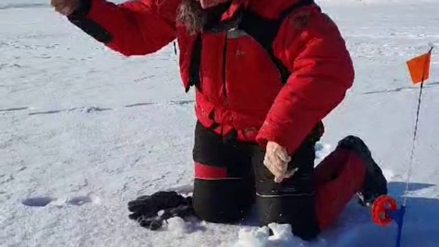 РЫБАЛКА пошла не по плану!!! смотреть онлайн