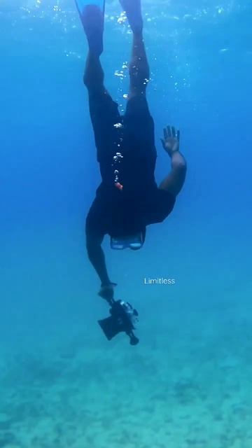 Underwater shorts #shorts #ocean #oceanlife #forest #fishermen #tropical #laksadweep #nature смотреть онлайн