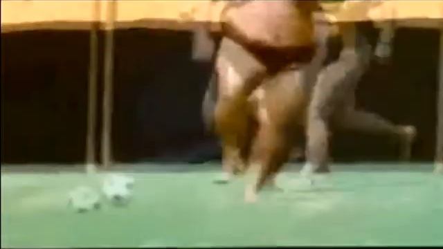 Video 5 - Chinos o Japoneses ganan Pepsis jugando futbol смотреть онлайн