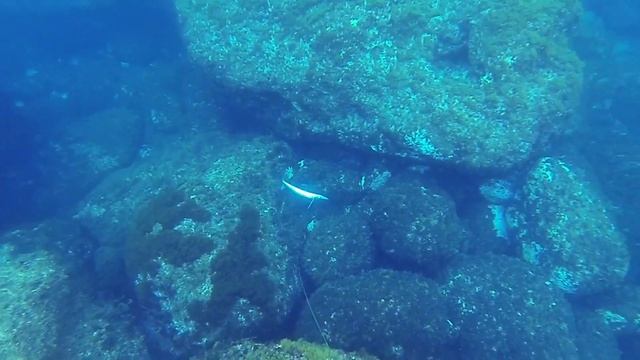 Spearfishing Malta 2014 - Barracuda (Lizz) смотреть онлайн