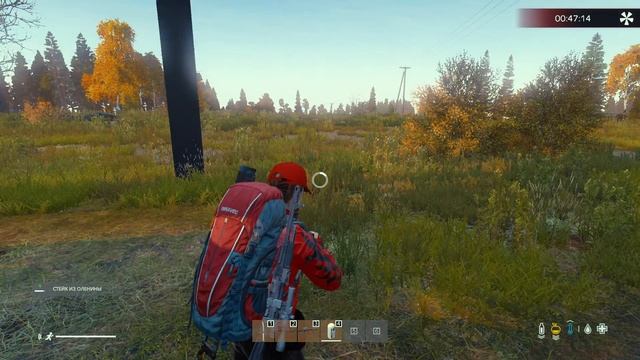 DayZ игра на сервере Zombieland