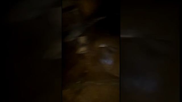 Повторный слив горячей воды в подвал смотреть онлайн