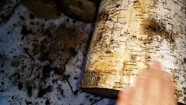 Палено для гнезда смотреть онлайн