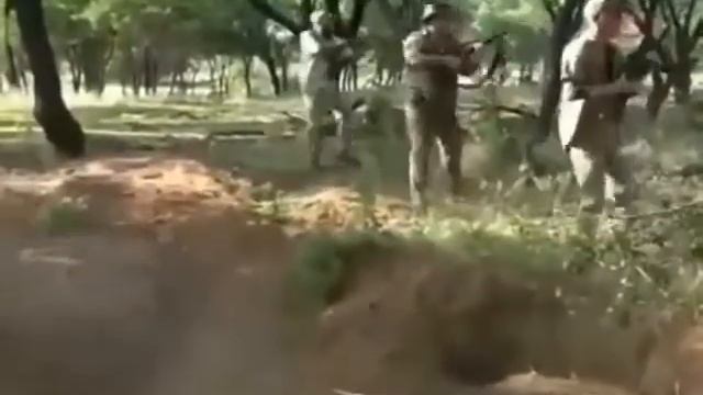 29 декабря 2017 г. смотреть онлайн