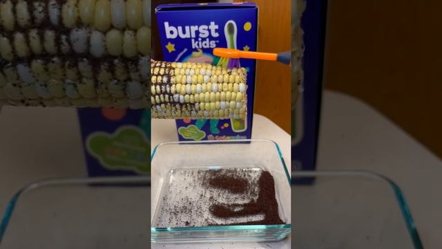 Cocomelon Burst kids Sonic Toothbrush смотреть онлайн