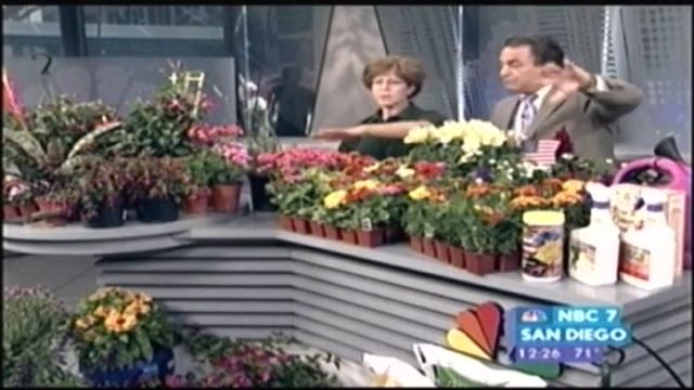 Armstrong Garden Centers - Summer Gardening Tips NBC 7/39 San Diego смотреть онлайн