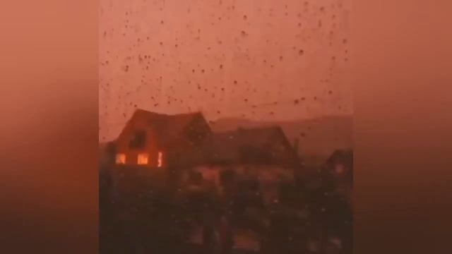 МАСЛО ЧЁРНОГО ТМИНА AYAZ смотреть онлайн