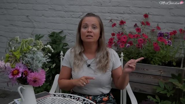 Wysiew kwiatów dla spóźnialskich / 10 kwiatów które jeszcze można wysiać w lipcu / MrsGarden смотреть онлайн
