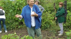 семинар 2024 г 2 группа