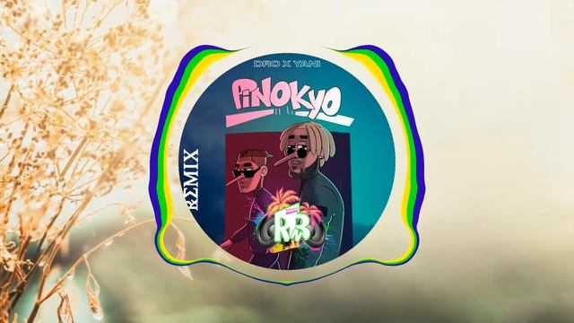 DroxYani-Pinokyo Remix by Raboday Nation смотреть онлайн