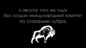 Возвращение зубра