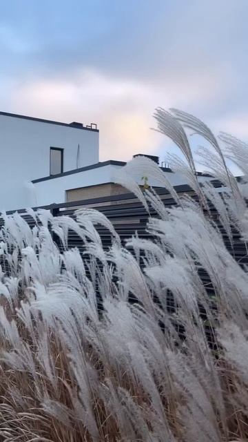 Коттеджный посёлок Volga Breeze