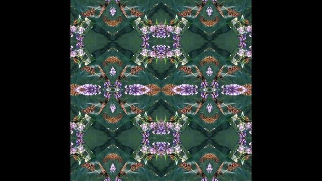 AUDIOQUATROSCOPY Satie & Butterfly смотреть онлайн