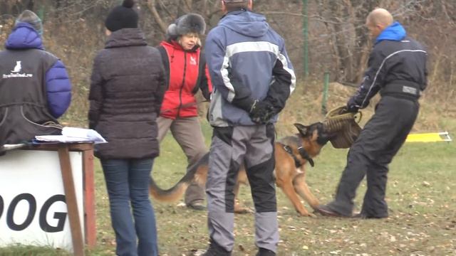 01 11 15г Макс Работа с стеком смотреть онлайн