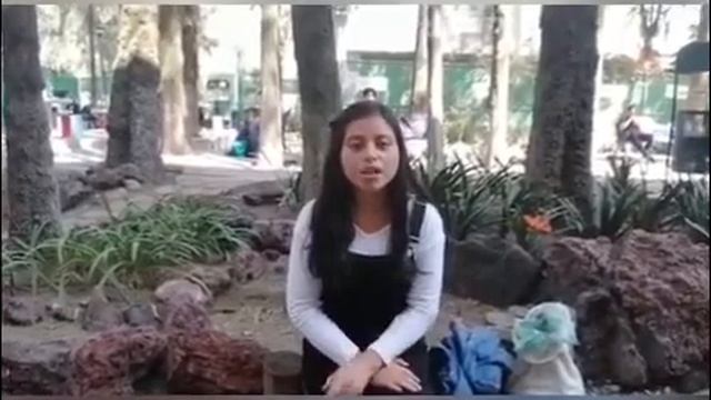 Impact of "Mexican Foreign Policy" during the last years. смотреть онлайн
