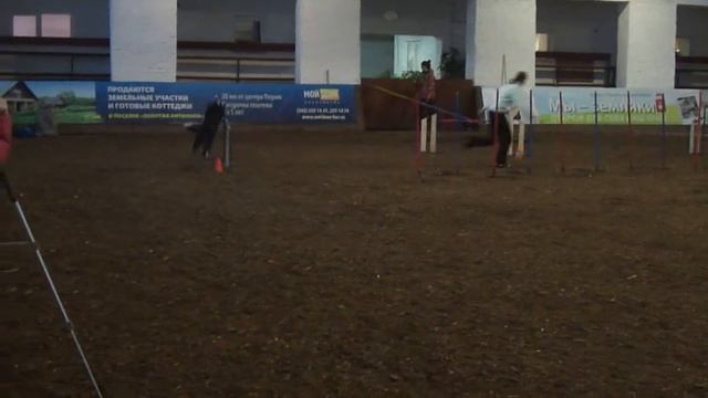 Шон аджилити(Пермь 5 01) смотреть онлайн