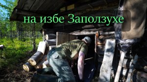 Ремонт старой избы. Рыбалка на таёжном озере. Жизнь в тайге.