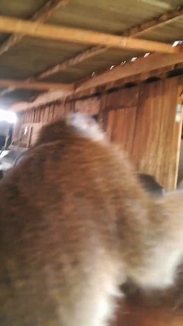 November 23, 2022 смотреть онлайн