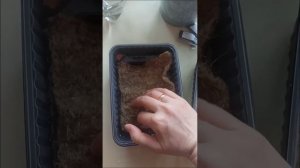 Микрозелень, выращивание на джутовых ковриках.