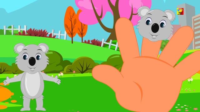 Osos koala dedo familia | canciones dedos | Finger Family Songs For kids | Koala Bears Finger Famil смотреть онлайн