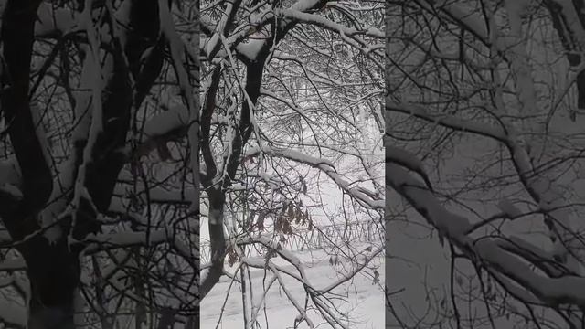 Мои синички) смотреть онлайн