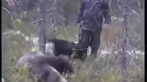 Охота на огромного Медведя