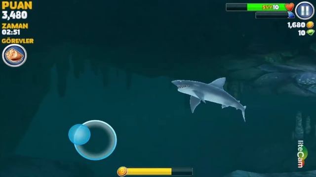 Hungry Shark ! - Mobil Oyun İncelemesi смотреть онлайн