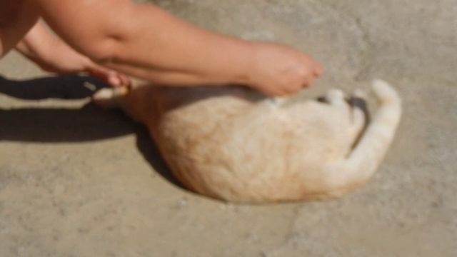Персик 1 смотреть онлайн