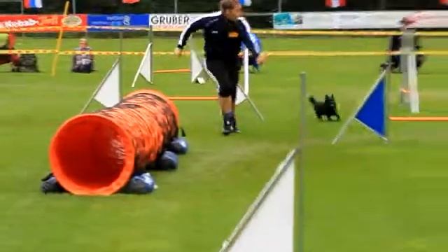 2011 EO Tóth Ági & Gory individual jumping смотреть онлайн