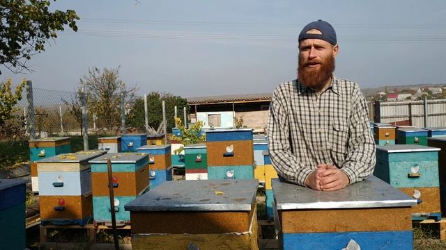 Пасека Горыни. Начинающим пчеловодам смотреть онлайн