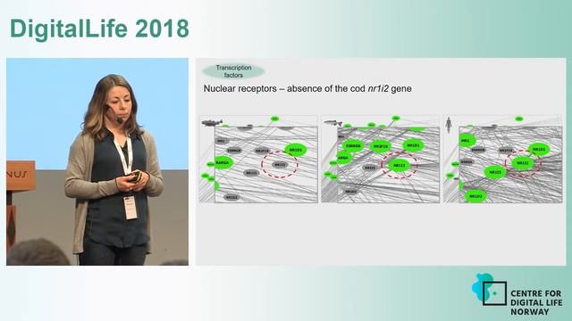 DigitalLife 2018 Marta Eide UiB смотреть онлайн