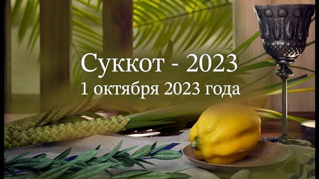 Суккот - 2023 смотреть онлайн