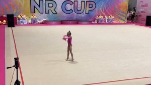 художественная гимнастика