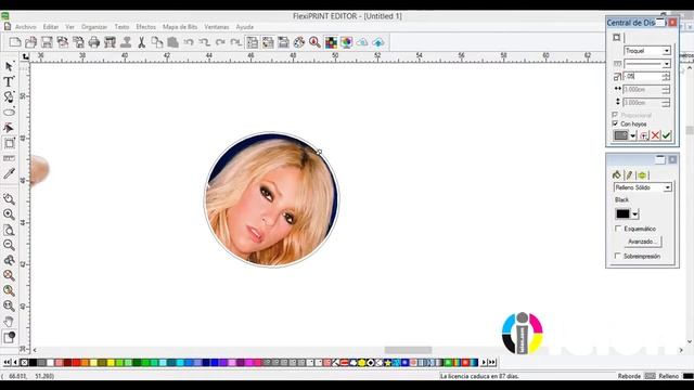 FlexiPRINT IEION Corte Troqueles o Contornos (Español) смотреть онлайн
