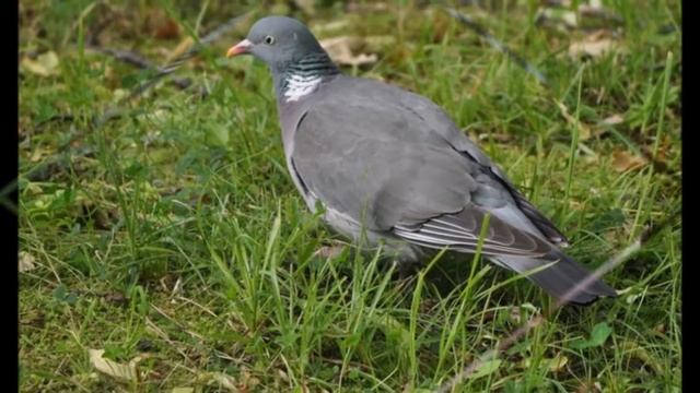 из фото от Наталии Прохоровой смотреть онлайн