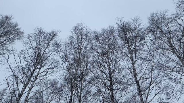 Горная прогулка