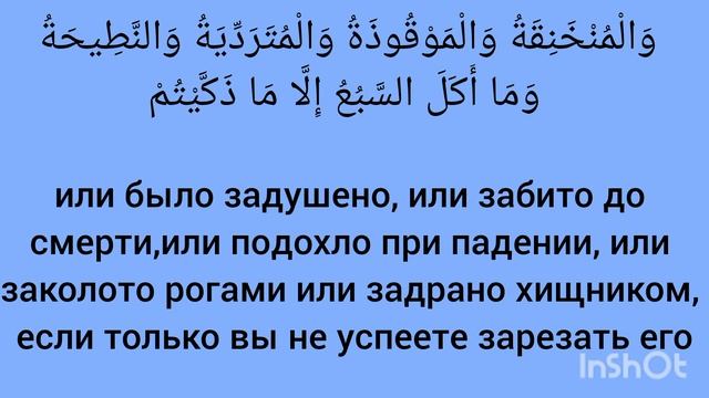 Какое мясо запрещено в Коране ислам мясо аят сура халяль харам здоровье здоровоепитание