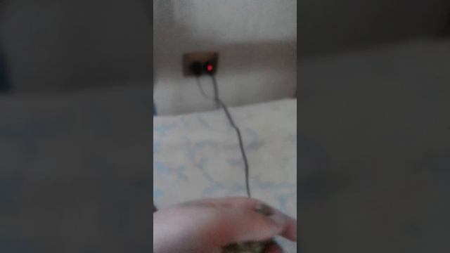Популяция гусеницы часть первая смотреть онлайн