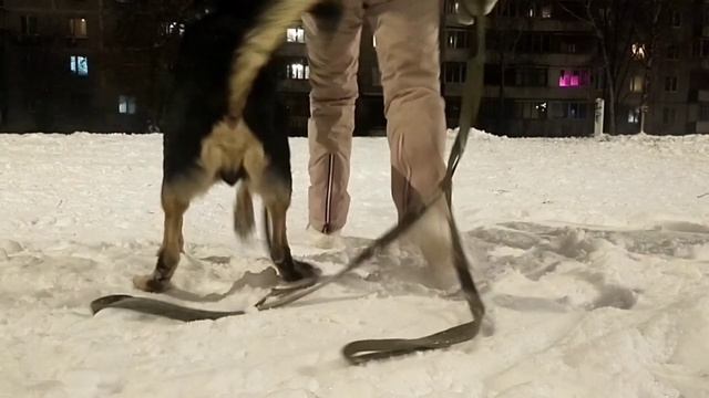 "Рядом!" и "Место!" смотреть онлайн