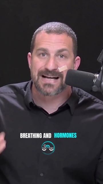 UNDERRATED WAY OF BREATHING | #andrewhuberman смотреть онлайн
