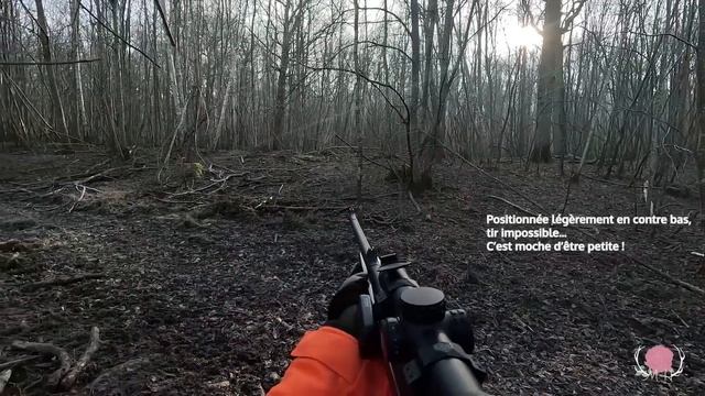 CHASSERESSE EN BATTUE - Cerfs et sangliers - MARGAUX HUNTRESS смотреть онлайн