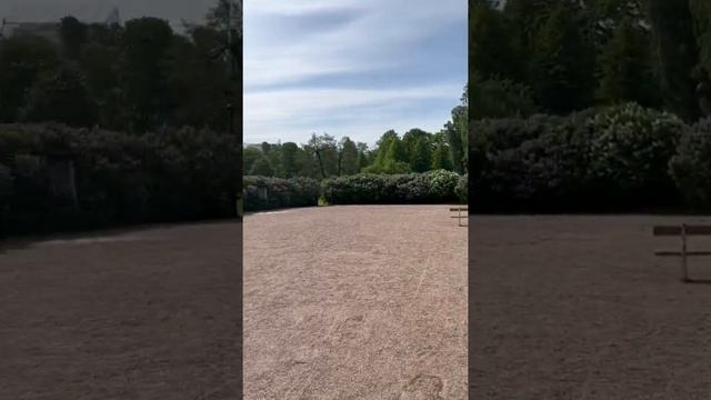 Lilas en Flor 🤯 Helsinki, Finlandia смотреть онлайн