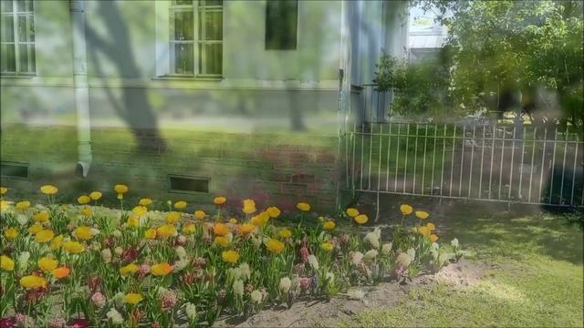 Фестиваль тюльпанов в Санкт-Петербурге смотреть онлайн