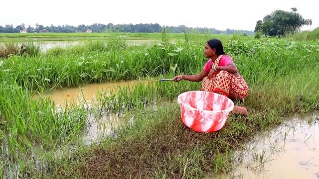 Fishing Video || The Beautiful Girl Caught A Lot Of Fish In The Village Canal | Amazing Hook Fishin