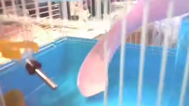 Рум тур по клетке хомяка , купили сегодня с мамой смотреть онлайн