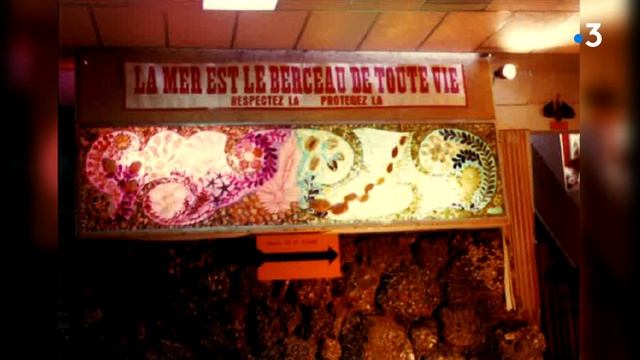 L'océarium du Croisic fête ses 30 ans смотреть онлайн