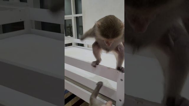 Достань с неба звезду! Няня плохому не научит🤣 смотреть онлайн
