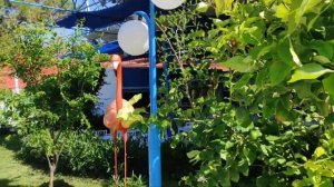 Marine Family Club Hotel 5*⛵ (ex. Otium Family Club Marine 5*) Side Cenger Manavgat Antalya Turkey