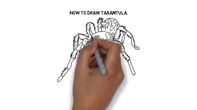 How to draw Tarantula смотреть онлайн