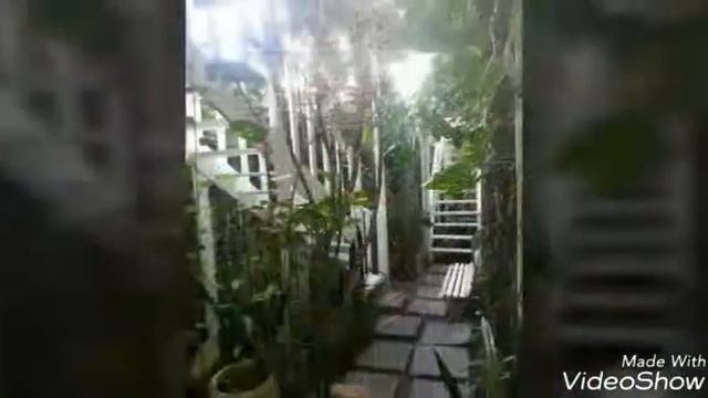 Salvador Bahia.....it starts here at HOTEL POUSADA PAPAYA VERDE, Brazil смотреть онлайн